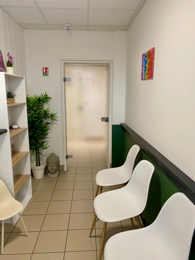 Chaises et plantes dans l’espace d’accueil du cabinet